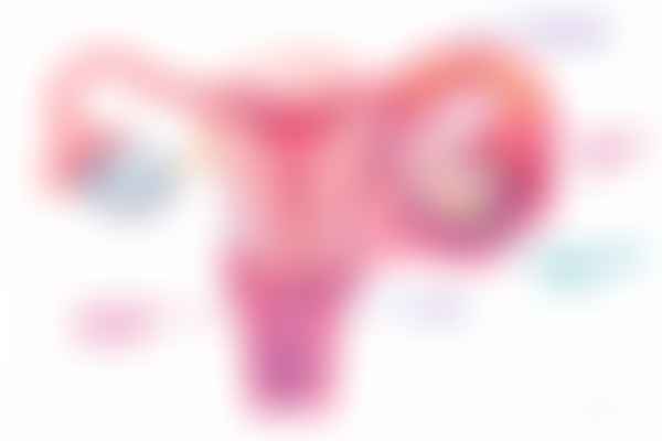 Ascending pelvic inflammatory disease