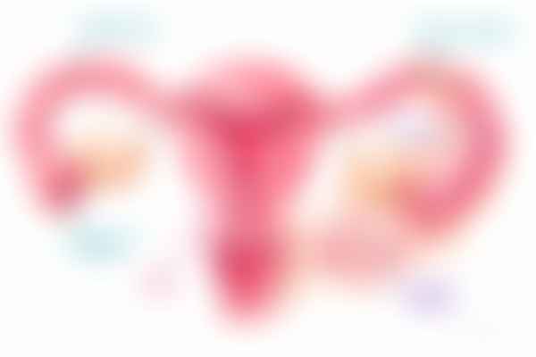 Genital tuberculosis with beaded tubes, granulomas, and caseous material