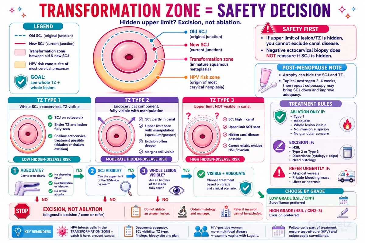Transformation zone types 1-3 and the hidden upper limit driving the excision-not-ablation decision